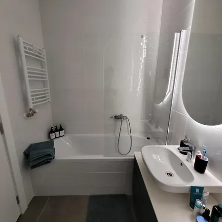 Knezev Park Apartment